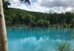 青い池